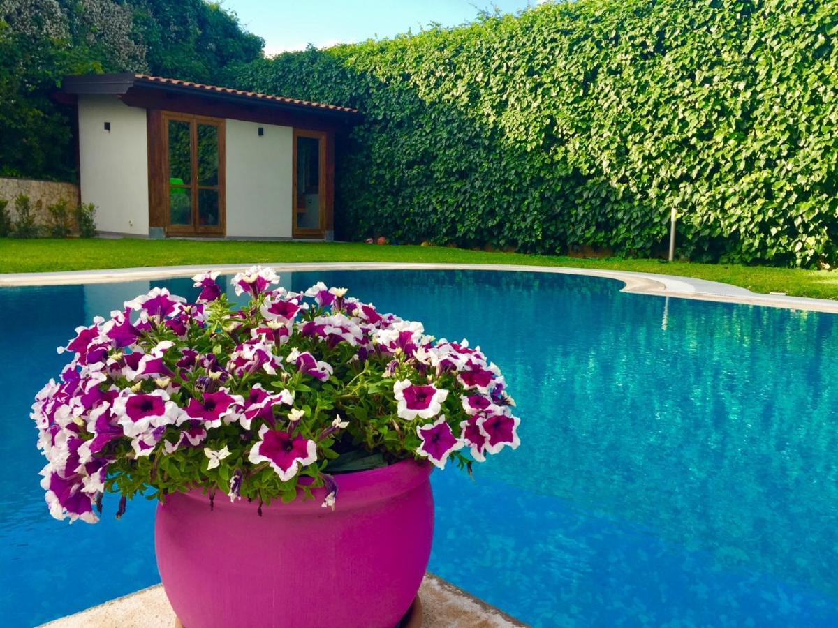 Willa Ara Town House San Giovanni La Punta Zewnętrze zdjęcie